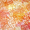 Landspace, Katy Gaydell Collier