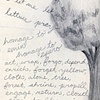 Homage (let us), Katy Gaydell Collier