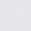 Two of my eyelashes fallen, Katy Gaydell Collier