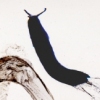 A Slug Performs                                             the Signs of the Universe