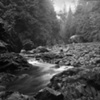 Vancouver's North Shore Series 2008, No.10