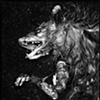Possum 8 x 10 Contact Print