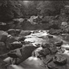 8 x 10 Platinum Contact Print - Weston, CT