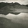 8 x 10 Platinum Contact Print  