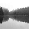 Vancouver's North Shore Series 2008 No. 6