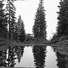 Large Format Print