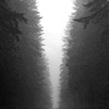 Vancouver's North Shore Series 2008, No.16