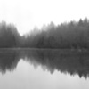 Vancouver's North Shore Series 2008 No. 6