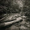 8 x 10 Platinum Contact Print - Weston, CT