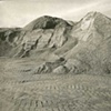 8 x 10 Platinum Contact Print  