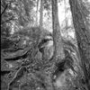 Vancouver's North Shore Series 2008, No.11