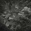 8 x 10 Platinum Contact Print - Weston, CT