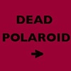 Dead Polaroid