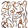 Worms Celebrate the Great Way, two