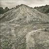 8 x 10 Platinum Contact Print