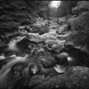 8 x 10 Platinum Contact Print - Weston, CT