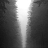 Vancouver's North Shore Series 2008, No.16