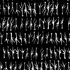 The Chicken Feet Sutra