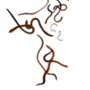 Transcribing Vermicular Truths, One