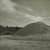 8 x 10 Platinum Contact Print  