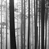 Vancouver's North Shore Series 2008 No. 15