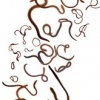 Transcribing Vermicular Truths, Two