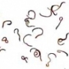 Worms Celebrate the Great Way