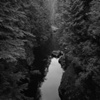 Vancouver's North Shore Series 2008 No. 7