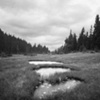 Vancouver's North Shore Series 2008, No.13