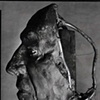 8 x 10 Platinum Contact Print