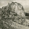 8 x 10 Platinum Contact Print