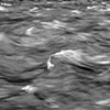 Water, Two