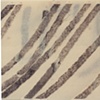 Ye 1 to Ye 25 Detail 1
