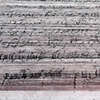 Pink Letter detail