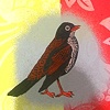 Bird Bag.