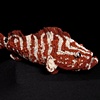 "Harry Grouper"