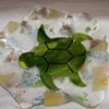 Honu Turtle