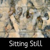 Sitting Still Series