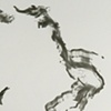 Detail: Disperse