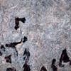 Permeate
