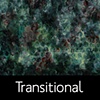 Transitional Paintings