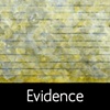 Evidence Series