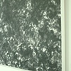 Detail: Mapping the Tenuous (Detail 2)