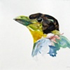 Scientific Illustrations