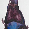Bird of Paradise