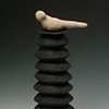 Black Vessel Bird