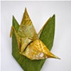 Paper Folding