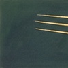 Ancestral Line