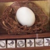 Tribute- Middle Nest- Joseph Cornell Nest