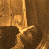 Amber Slumber